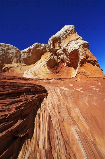 White Pocket Canyon