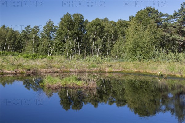 Lake in nature reserve Totes Moor