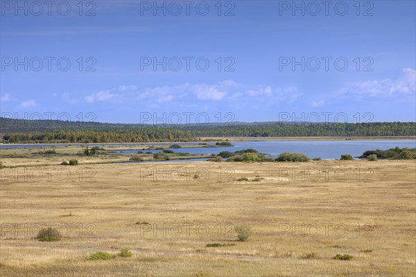 View over the Store Mosse Nationalpark