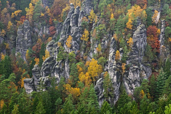 View over the Raaber Kessel in the Elbe Sandstone Mountains