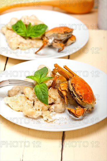 Fresh homemade Italian gnocchi with seafood sauce crab and basil