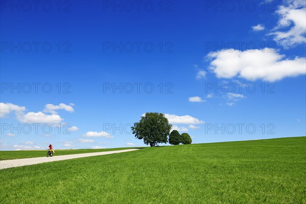 Cyclist on a picture-book country road near Berg