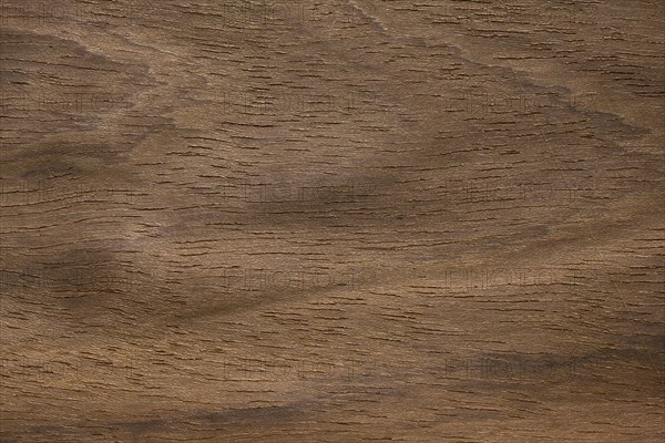 Wood grain of Hyedua