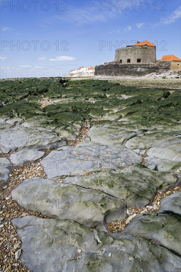Jurassic rock layers exposed at low tide and Fort Mahon at Ambleteuse along rocky North Sea coast