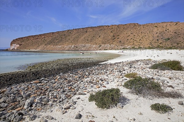 White sandy beach and steep red cliffs at Isla Espiritu Santo