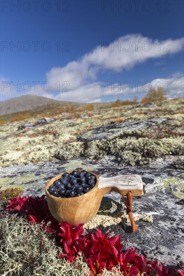 Traditional Scandinavian cup