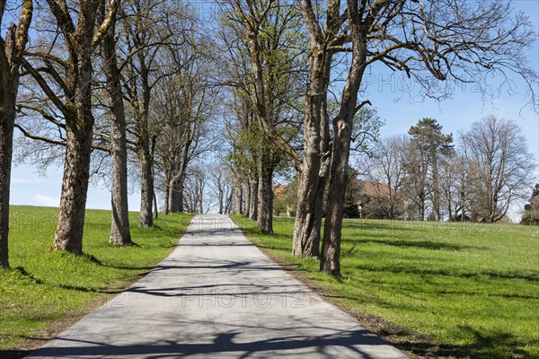 Small road