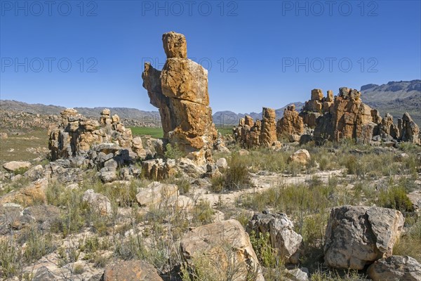 Sandstone rock formations on the Lot's Wife hiking trail at Dwarsrivier