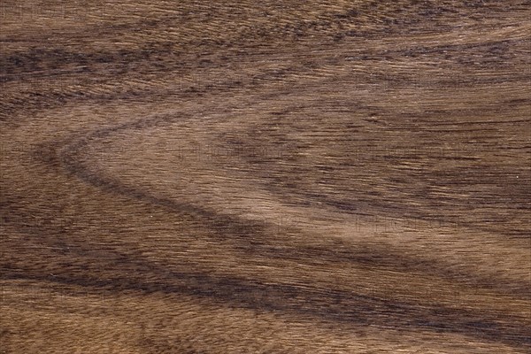 Wood grain of Makore