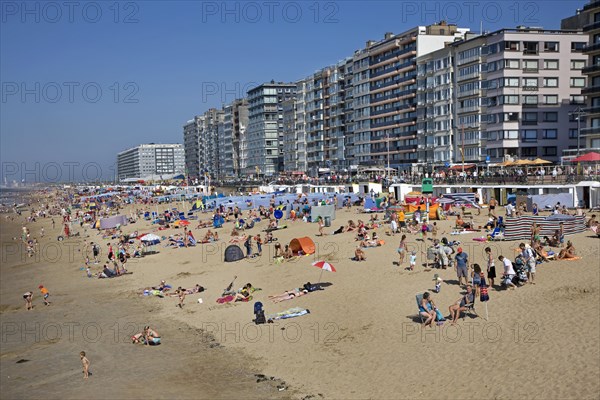 Sunbathers in summer sunbathing behind parasols and windbreaks on beach along the North Sea coast at Belgian seaside resort