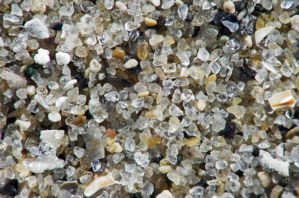 Close up of sea sand grains containing shell fragments