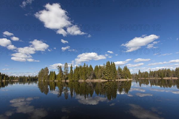 Reflection of spruce trees in water of the Vaesterdal River