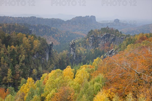 View from Carolafelsen to the Grosser Dom