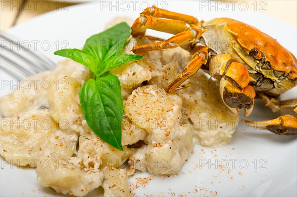 Fresh homemade Italian gnocchi with seafood sauce crab and basil