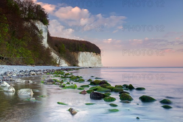 Eroded white chalk cliffs and pebble beach in Jasmund National Park on Rugen Island in the Baltic Sea