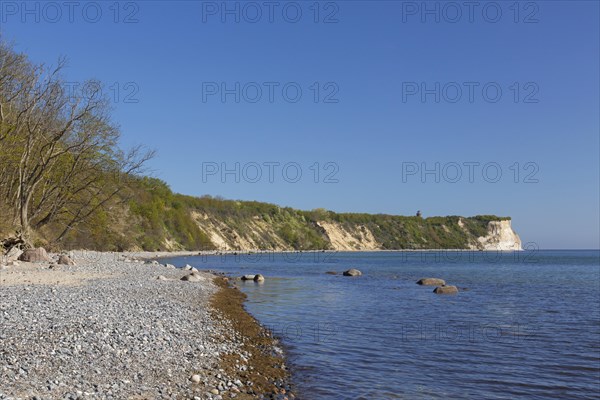 White sea cliffs at Cape Arkona