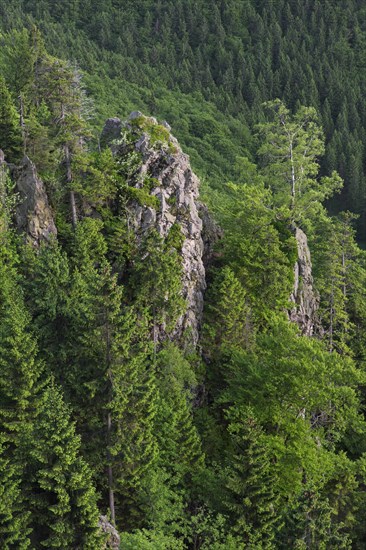 Hahnenkleeklippen