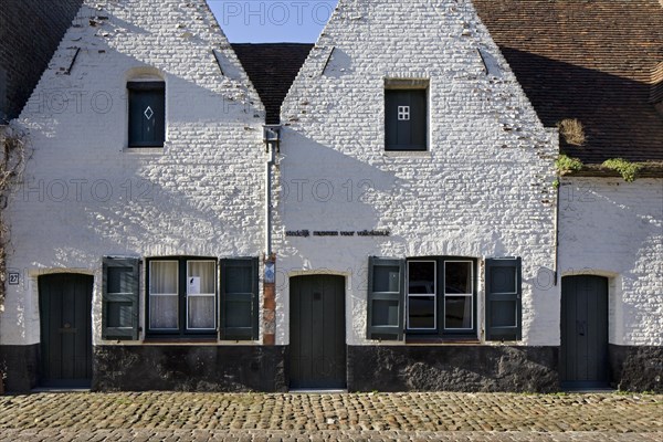 The museum of folklore and Black Cat