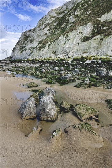 The white chalk cliffs and rocks covered in seaweed at low tide at Cap Blanc Nez