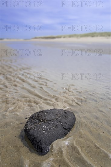 Black chunk of turf from exposed peat layer on the seabed washed ashore on sand beach along the North Sea coast