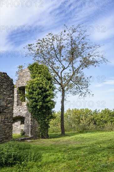 The Hohentwiel fortress ruins