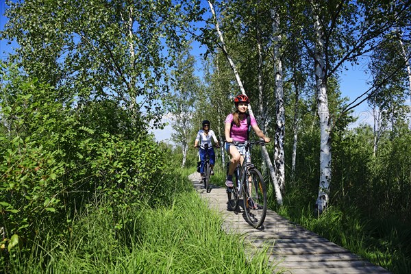 Cyclists on the Aukstumala Cognitive Path