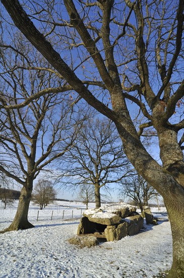 The Grand Dolmen de Weris in the snow in winter