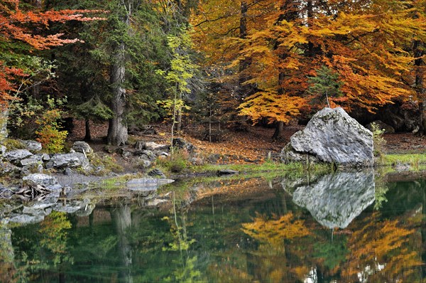 Reflection of autumn colours in the lake Lac Vert