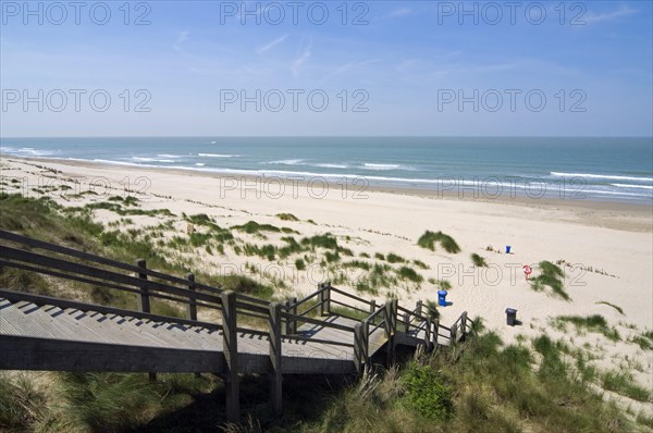 Nature reserve De Fonteintjes in the dunes between Blankenberge and Zeebrugge along the North Sea coast