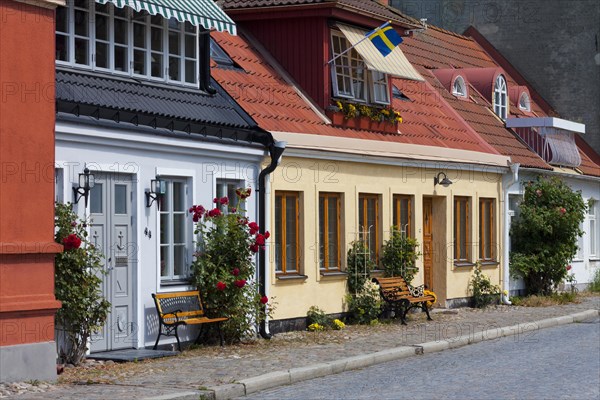 Historical and colourful houses with facades decorated with flowers in the town Ystad