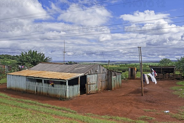 Primitive wooden hut