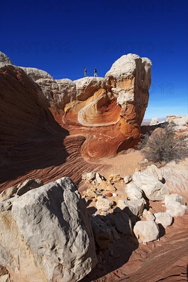 Hiker in White Pocket Canyon