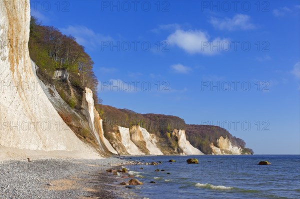 Eroded white chalk cliffs and pebble beach in Jasmund National Park on Rugen Island in the Baltic Sea