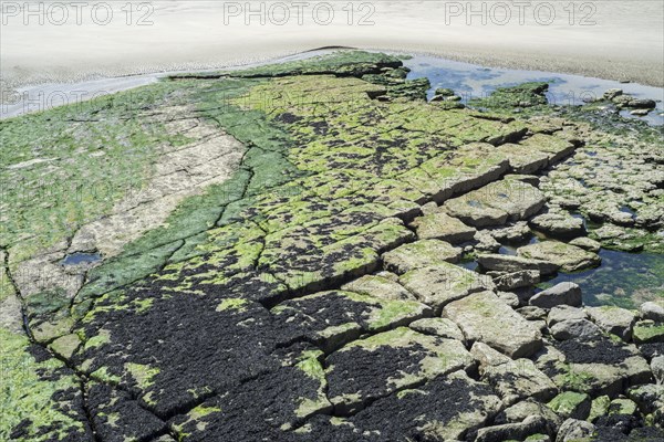 Broken Jurassic rock layer exposed at low tide on the beach at Ambleteuse along rocky North Sea coast