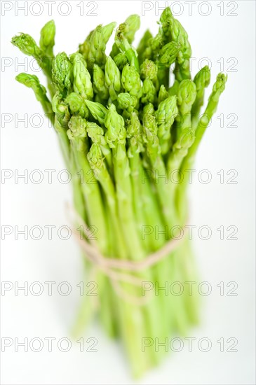 Fresh asparagus from the garden over white background