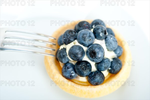 Fresh blueberry cream cupcake homemade closeup macro