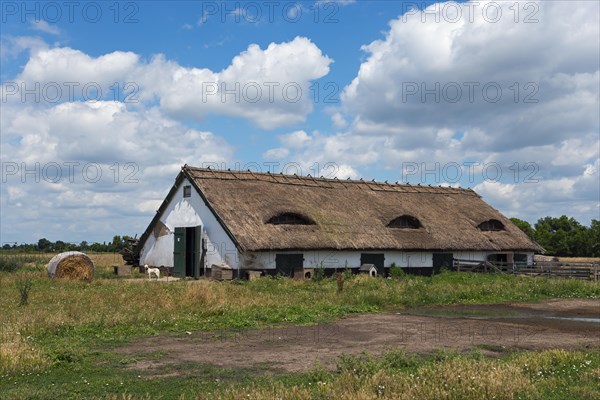 Farmstead