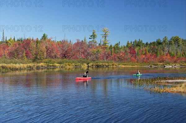 Two canoeists paddling in colourful canoes past trees in autumn colours in New England