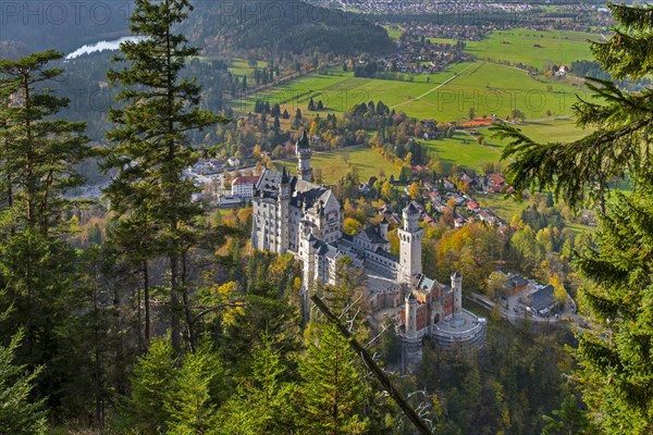 Neuschwanstein Castle in autumn