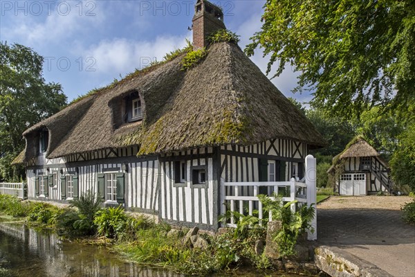 Timber-framed house with thatched roof along the river Veules