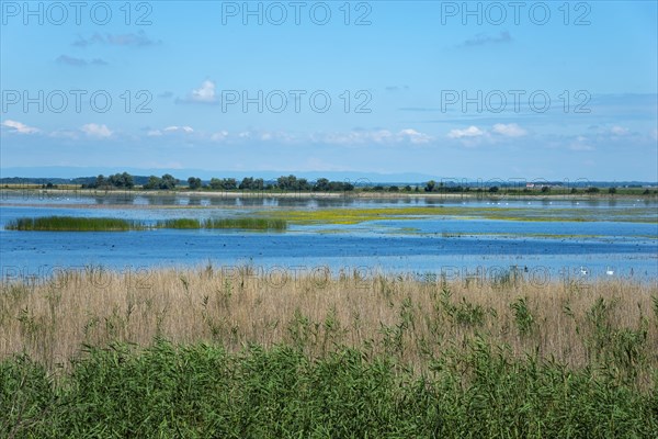 Hortobagy Fish Ponds