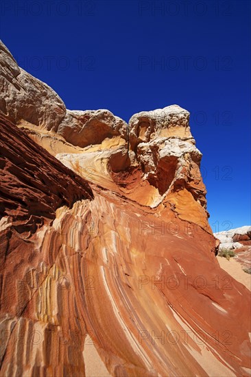 White Pocket Canyon