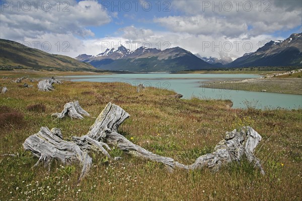 Lago Roca in the Los Glaciares National Park near El Calafate in Patagonia