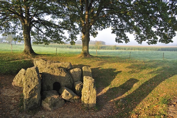 Dolmen d'Oppagne