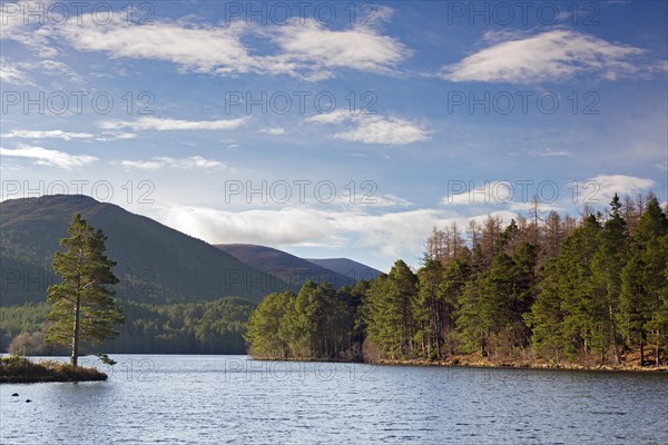 Loch an Eilein in the Rothiemurchus Forest