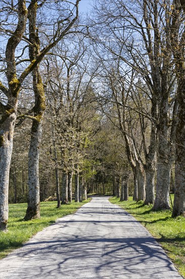 Small road
