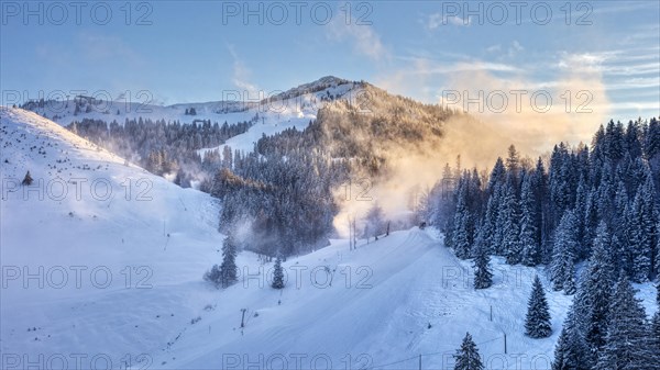 Fresh snow
