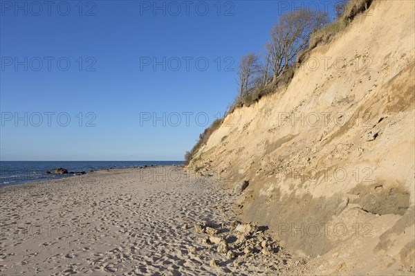 Coast near Dranske