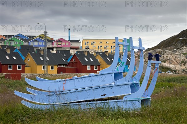 Hondensleeen in de zomer te Ilulissat