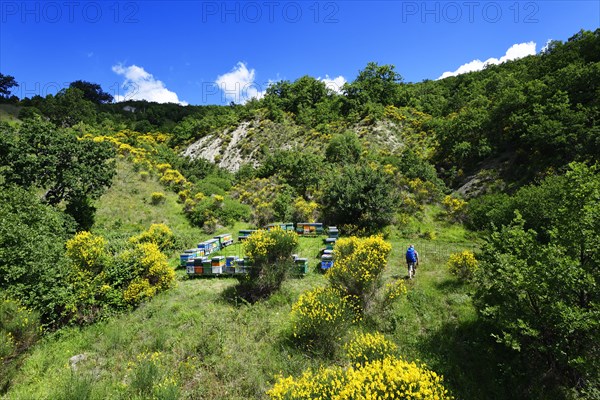 Hikers in front of beehives near Castelmezzano